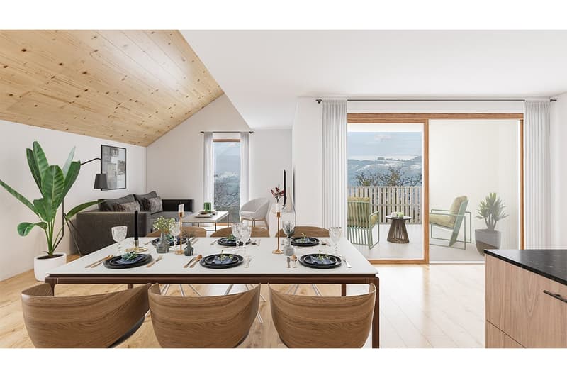 Magnifique appartement neuf en duplex (1)