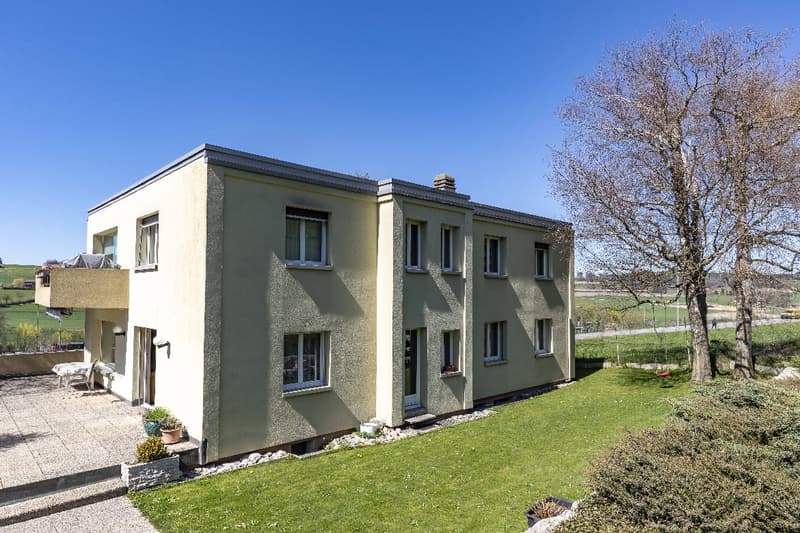 Appartement de 5 1/2 pièces au 1er étage (12)