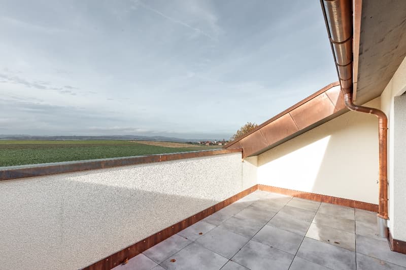 Splendide appartement de 5 ½ pièces en duplex (4)