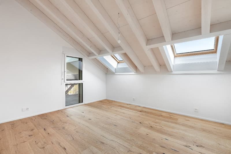 Splendide appartement de 5 ½ pièces en duplex (5)