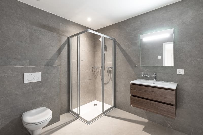 Splendide appartement de 5 ½ pièces en duplex (6)