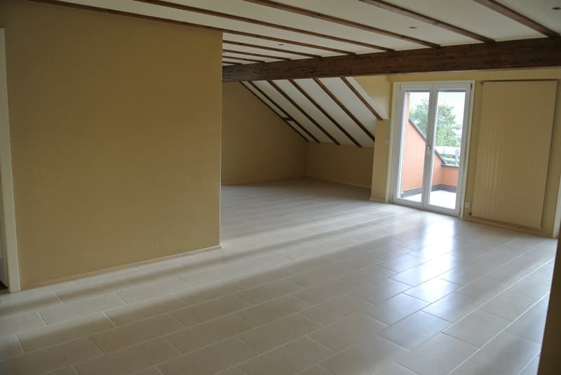 Superbe appartement traversant avec vue imprenable sur le lac Léman – Cully (5)