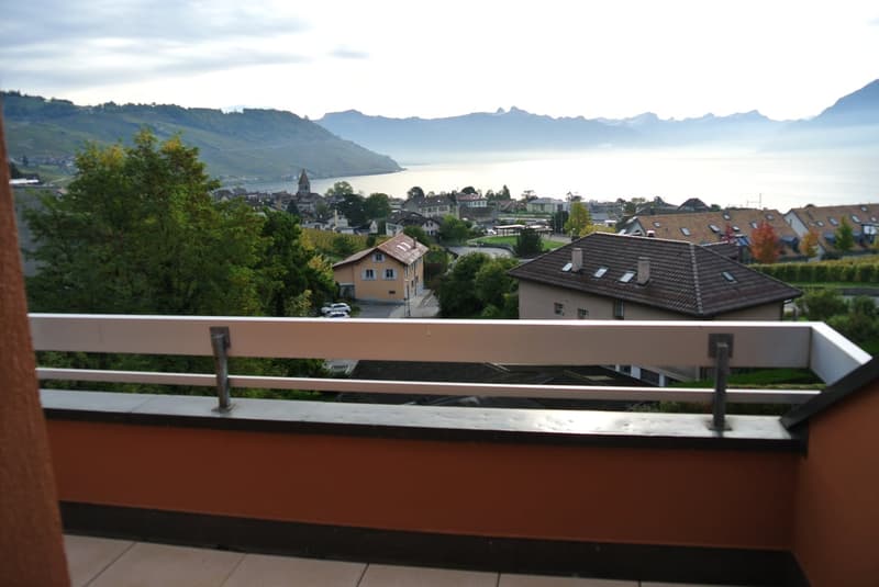 Superbe appartement traversant avec vue imprenable sur le lac Léman – Cully (2)