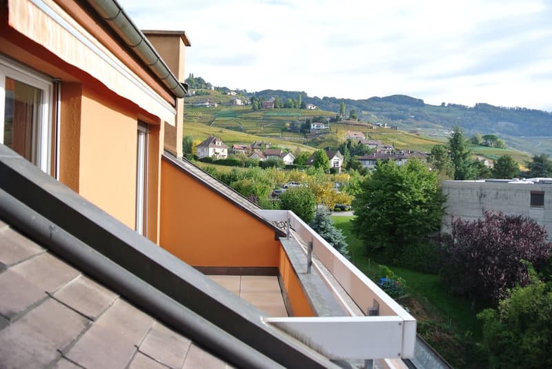 Superbe appartement traversant avec vue imprenable sur le lac Léman – Cully (3)