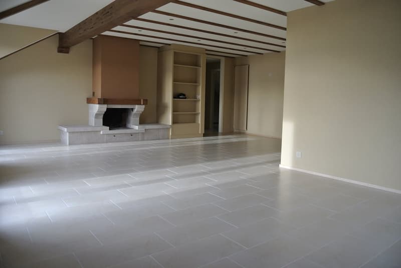Superbe appartement traversant avec vue imprenable sur le lac Léman – Cully (7)