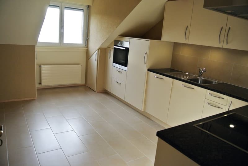 Superbe appartement traversant avec vue imprenable sur le lac Léman – Cully (10)