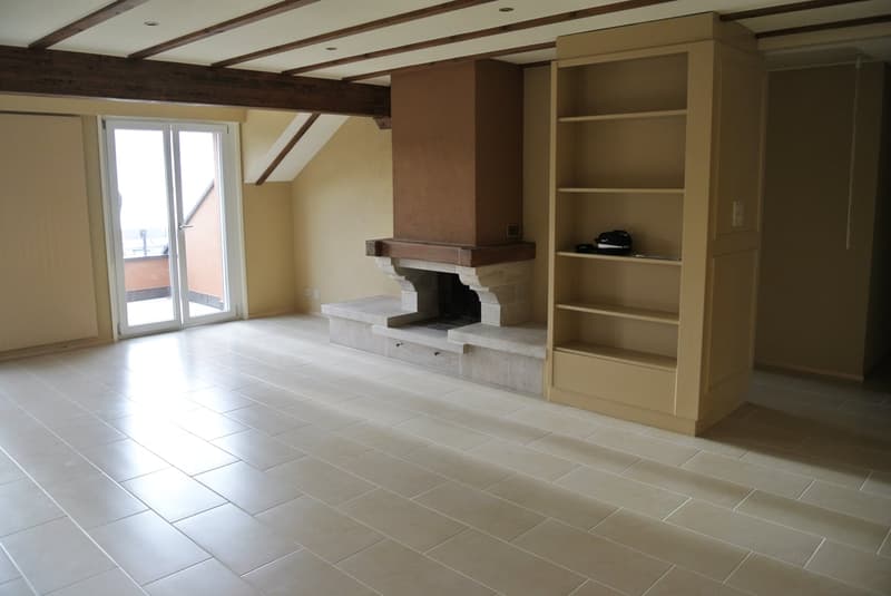Superbe appartement traversant avec vue imprenable sur le lac Léman – Cully (6)