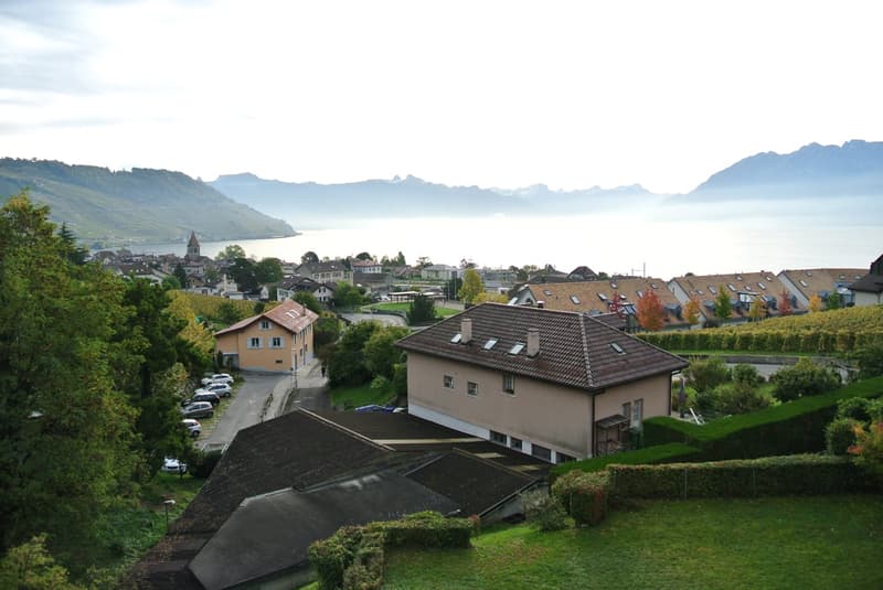 Superbe appartement traversant avec vue imprenable sur le lac Léman – Cully (1)