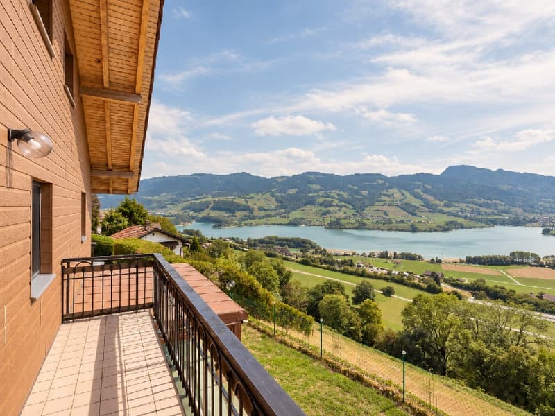 EN EXCLUSIVITÉ – Chalet avec vue imprenable sur les Préalpes fribourgeoises (24)