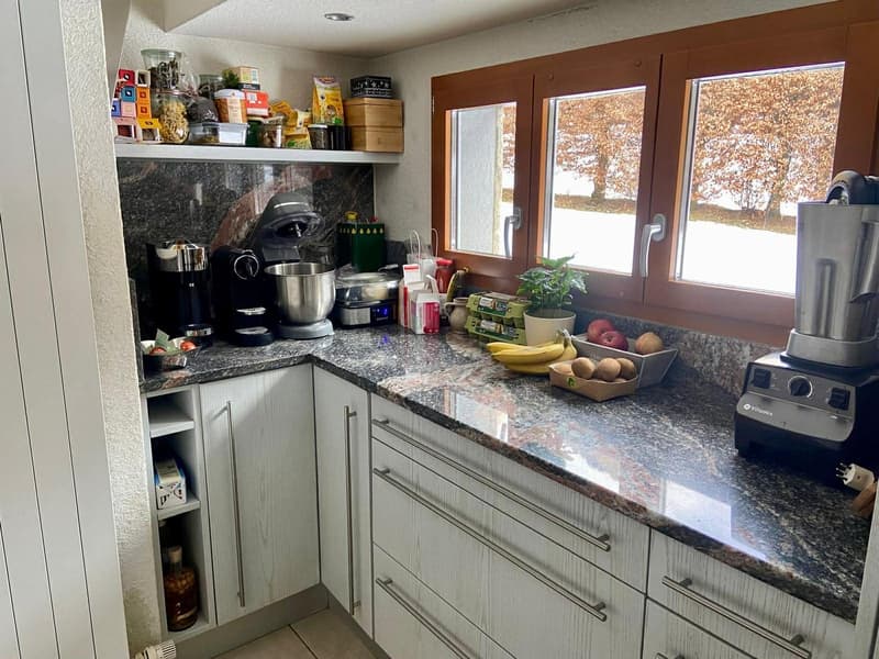 Granite countertop, white cabinets, blender, coffee maker, open shelves, plants, fruits, various appliances, double window with view