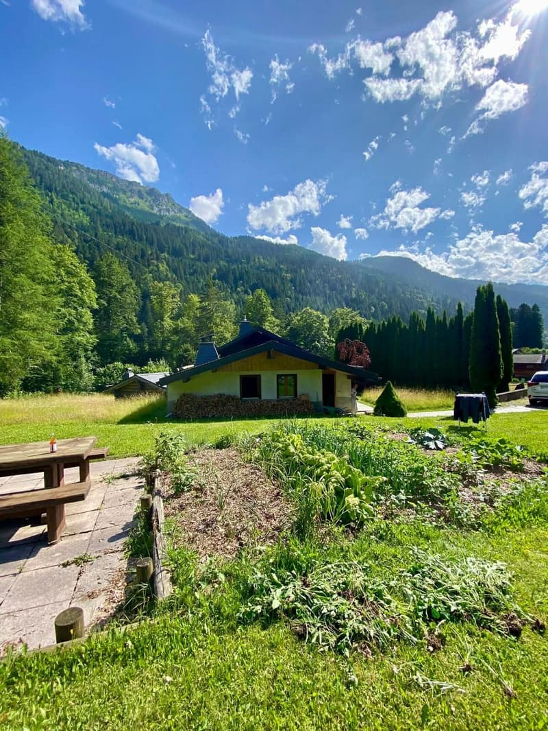 Mountain view, yellow and green chalet, garden with lawn and trees, bench, car in the background