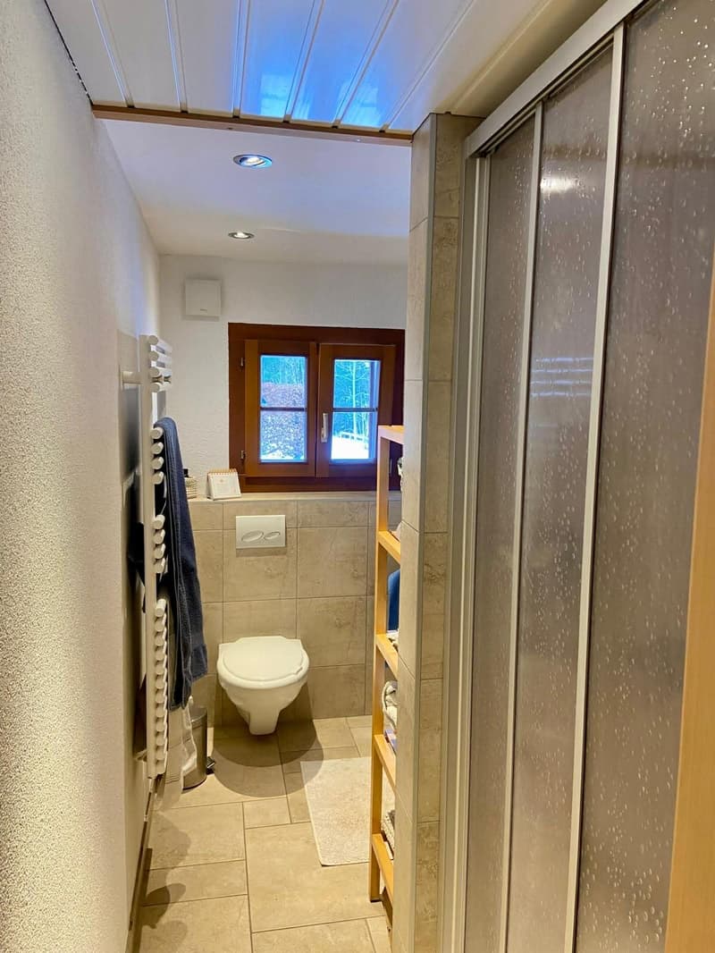 Small bathroom with toilet, shower, window, shelves, towel rack, floor heating.