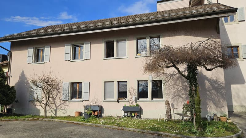 St-Saphorin s/Morges immeuble locatif de 7 appartements (5)