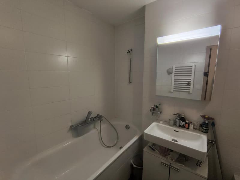 Bel appartement de 3 pièces à Morges (4)