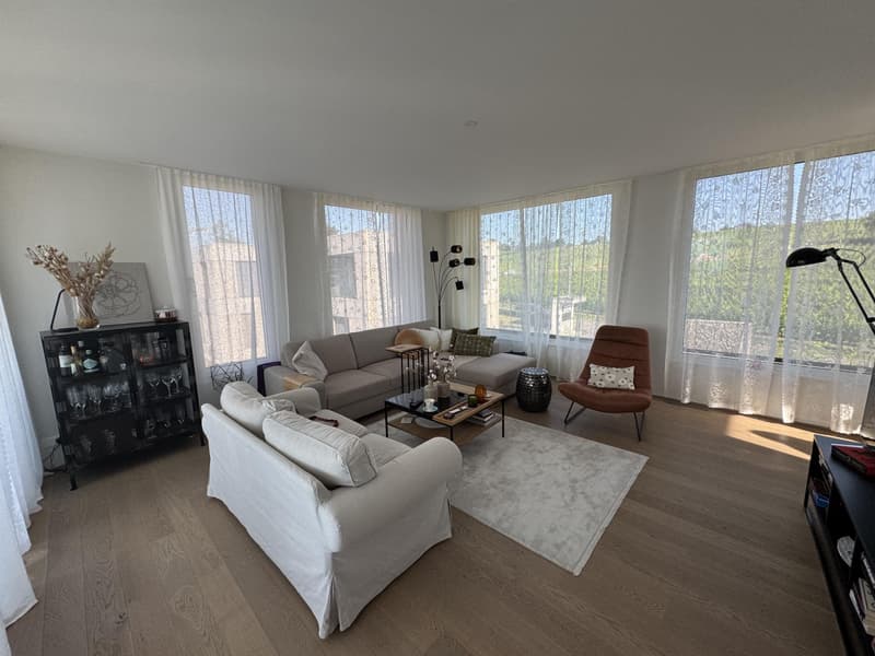 Villa urbaine moderne ! (2)