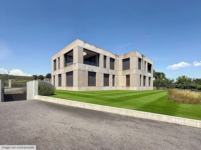 Magnifique villa moderne sur les hauteurs de Morges (3)