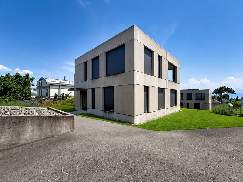 Magnifique villa moderne sur les hauteurs de Morges (4)