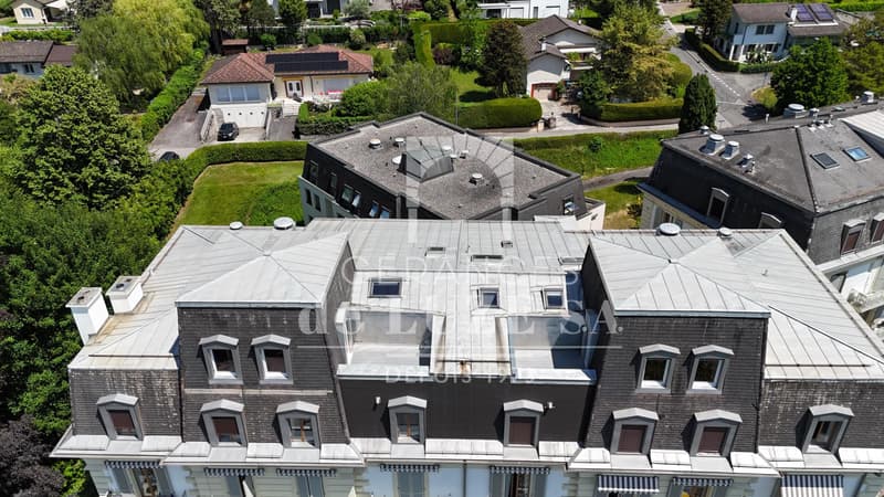 Surplombant le lac : 1.5 pièce avec mezzanine et balcon (11)