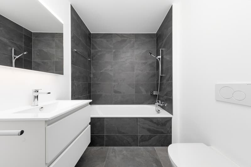 Appartement de 4½ pièces en attique (Lot A09 selon plan) (12)
