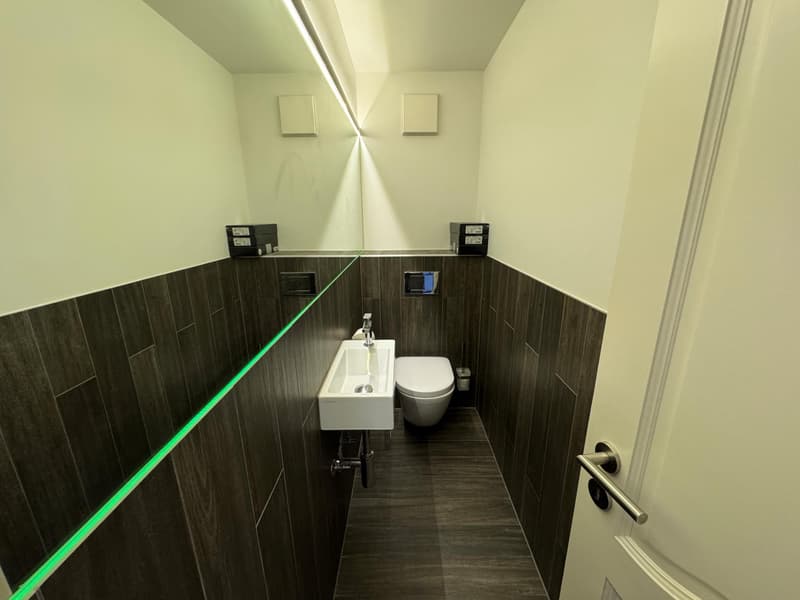 Appartement de 4½ pièces en duplex dans les combles (2)