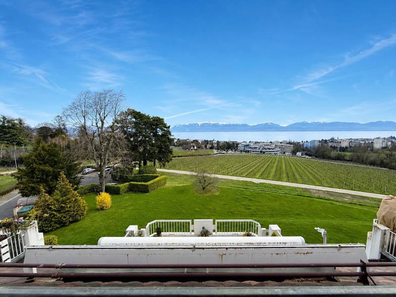 Appartement de 4½ pièces en duplex dans les combles (7)