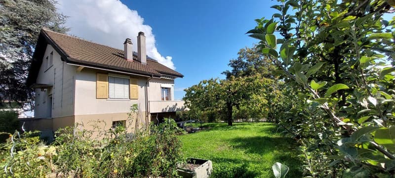 Charmante maison individuelle avec jardin (2)