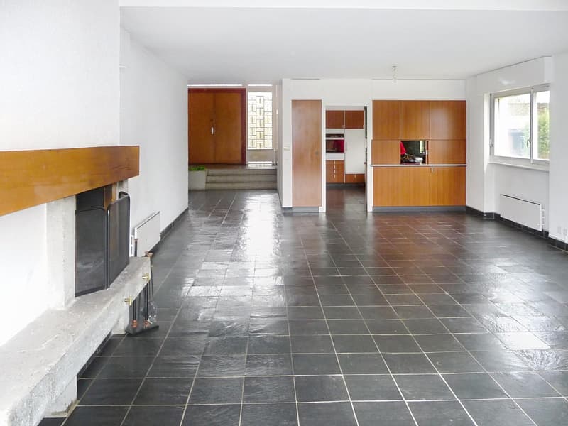 Villa familiale avec grand jardin ? Founex (7)