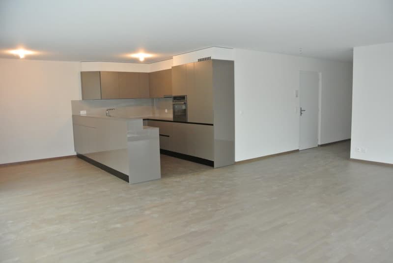 Joli 4½ pièces au rez-de-chaussée (1)