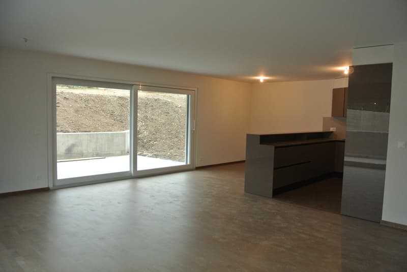 Joli 4½ pièces au rez-de-chaussée (2)