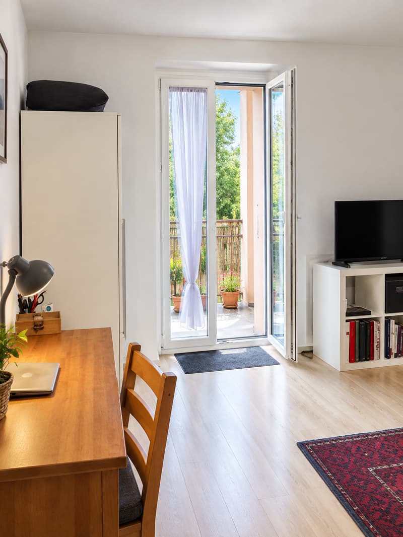 Appartement de 1½ pièces à louer (2)