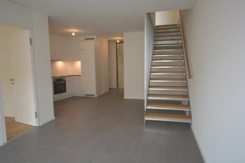 Appartement de 4 pièces en duplex (3)