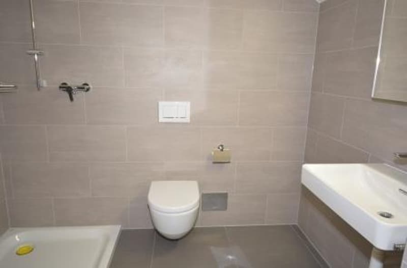 Appartement de 4 pièces en duplex (5)