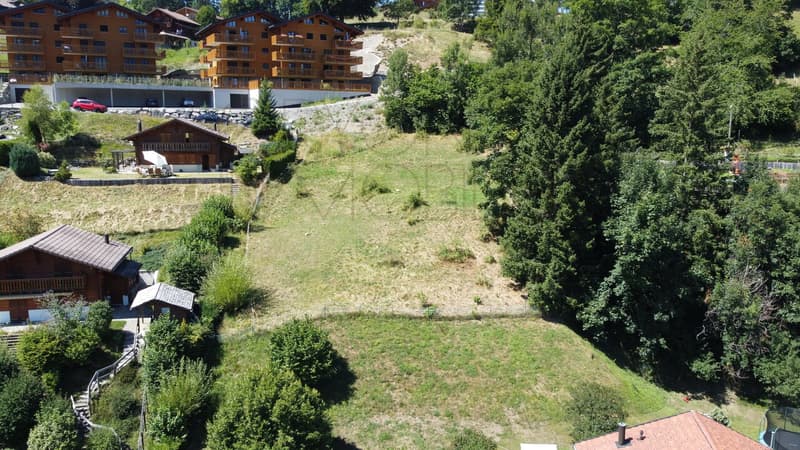 Gryon Immo propose une belle parcelle proche de toutes les commodités (1)