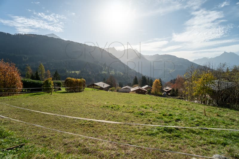 Terrain à Gryon avec permis pour chalet en résidence principale (3)