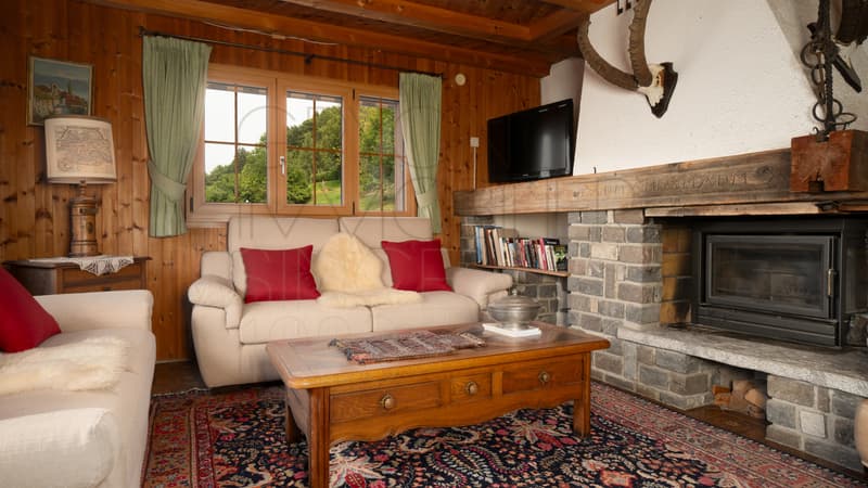 Rare appartement familial face aux Dents du Midi (6)
