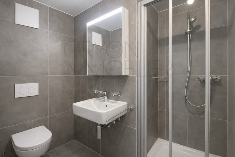 Magnifique appartement en duplex de 4.5 pièces (TND13) (9)