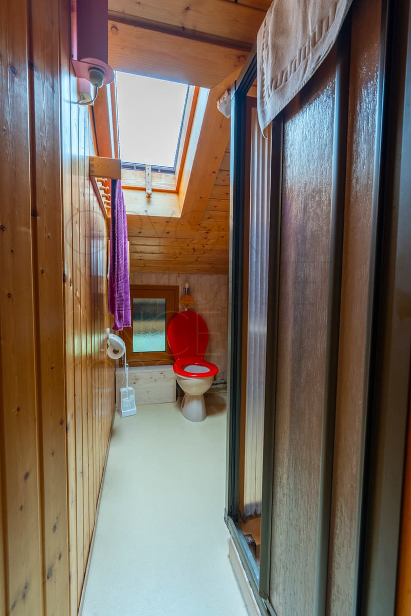 Chalet autonome avec vue panoramique - 5 chambres à Villars-Ollon (3)