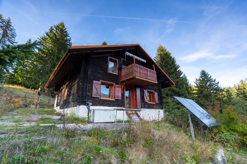 Chalet autonome avec vue panoramique - 5 chambres à Villars-Ollon (6)