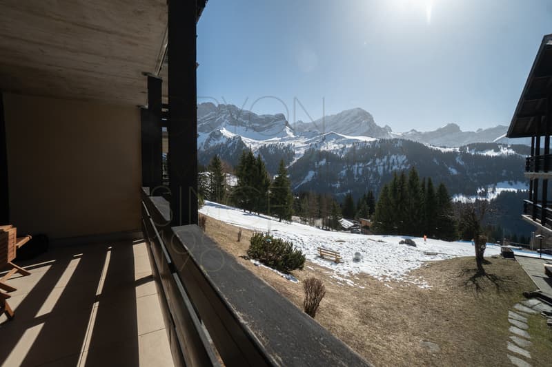 Studio ski-in ski-out à l'Alpe des Chaux avec balcon d'angle (7)