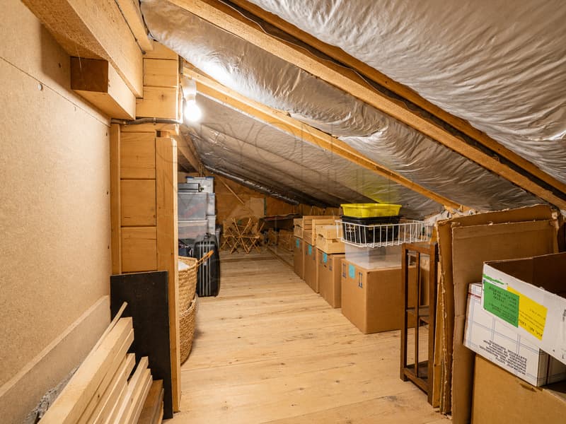 Chalet familial de 6,5 pièces à Gryon, proche des commodités (8)