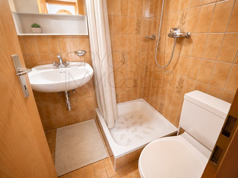Appartement 2,5 pièces aux Arsets avec balcon et soupente (12)