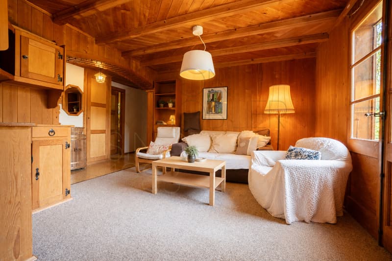 Chalet de 4,5 pièces à rénover à Gryon, vue et calme (3)