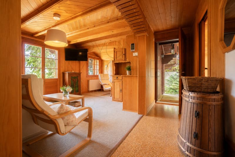 Chalet de 4,5 pièces à rénover à Gryon, vue et calme (6)