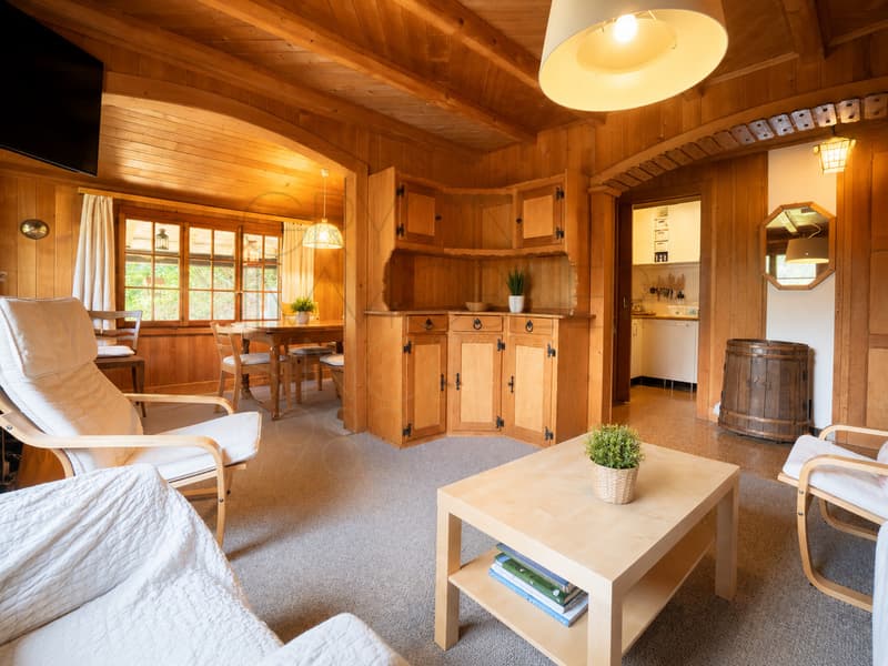 Chalet de 4,5 pièces à rénover à Gryon, vue et calme (4)