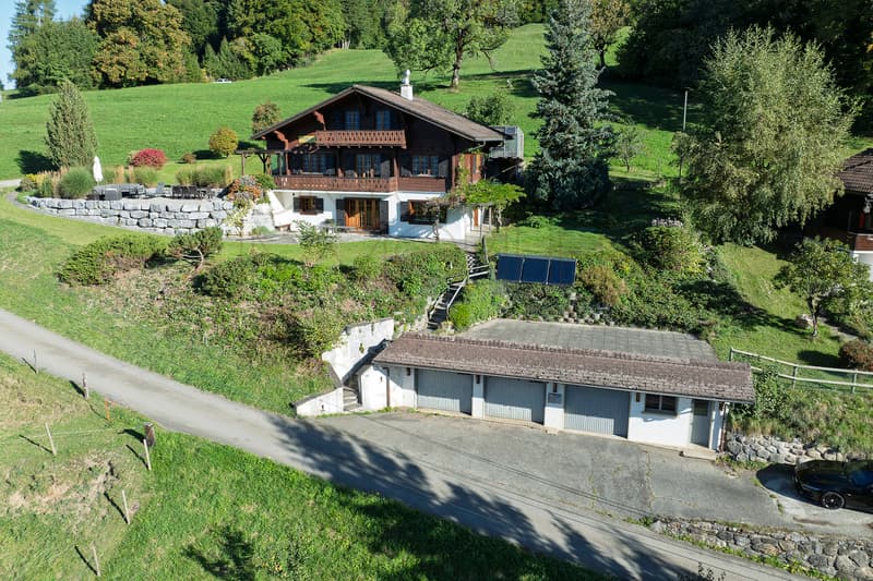 Les Posses-sur-Bex - Chalet 6 chambres, panorama sur les Dents-du-Midi (5)