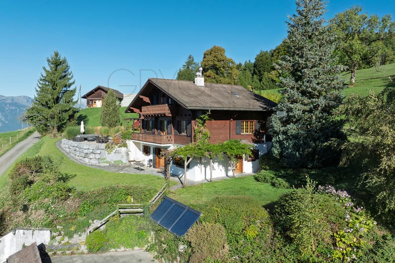 Les Posses-sur-Bex - Chalet 6 chambres, panorama sur les Dents-du-Midi (3)