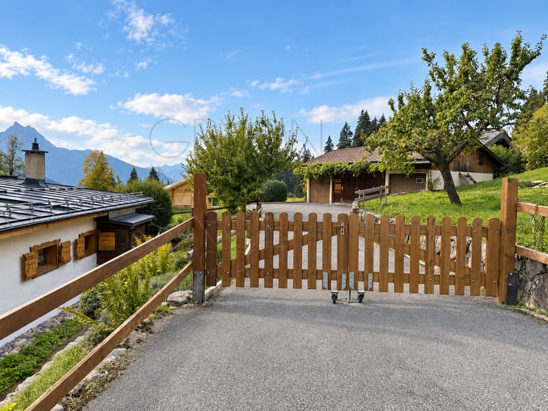 Chalet familial typique à Gryon avec jardin et dépendances (10)