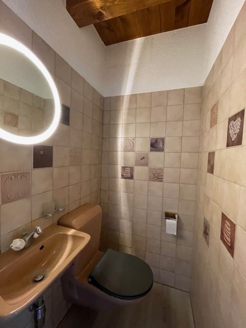 Appartement de 3,5 pièces en triplex avec terrasse proche de toutes les commodités (7)