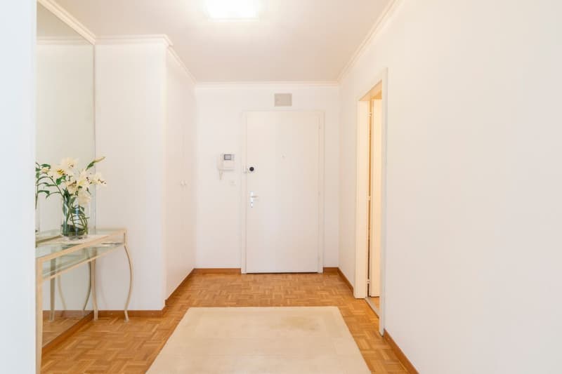 Bel appartement de 2.5 pièces avec balcon (7)