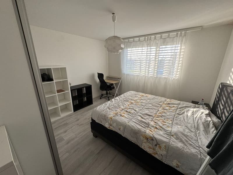 Très bel appartement de 3.5 pièces - grand balcon - dans un petit immeuble (5)
